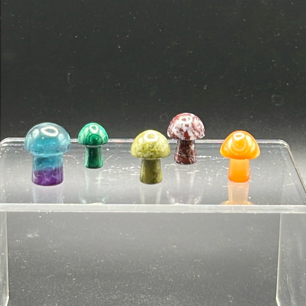 5 crystal mushroom set 🍄